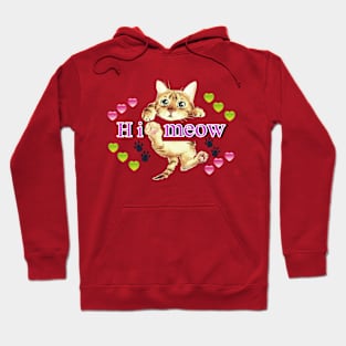 Kitty meow Hoodie